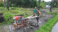 Siapkan Lahan Pertanian, Babinsa Koramil 06/Karera Terjun Kesawah Bantu Warga