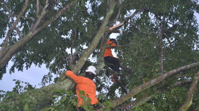 Hujan Deras Guyur Kabupaten Bandung, Pemkab Himbau Waspadai Potensi Bencana Alam Hujan Deras Guyur Kabupaten Bandung, Pemkab Himbau Waspadai Potensi Bencana Alam