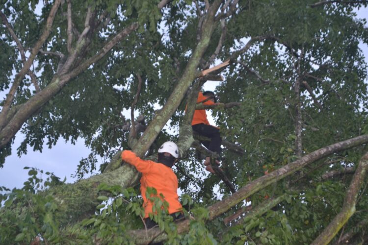 Hujan Deras Guyur Kabupaten Bandung, Pemkab Himbau Waspadai Potensi Bencana Alam Hujan Deras Guyur Kabupaten Bandung, Pemkab Himbau Waspadai Potensi Bencana Alam