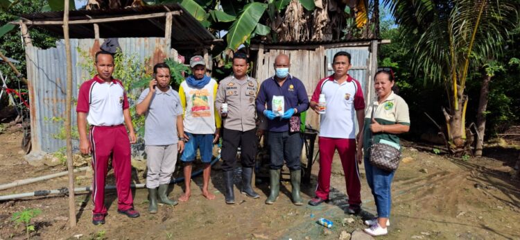 Wujudkan Ketahanan Pangan, Polisi Rawat Tanaman Jagung di Labuan Bajo