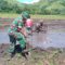 Babinsa Tabundung Bantu Petani Membuat Pematang Sawah Di Desa Karita