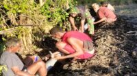 Penuhi kebutuhan Pokok Masyarakat, Satgas TMMD Ke-123 Kodim Sumba Timur Gencarkan Pipanisasi Air Untuk Pertanian