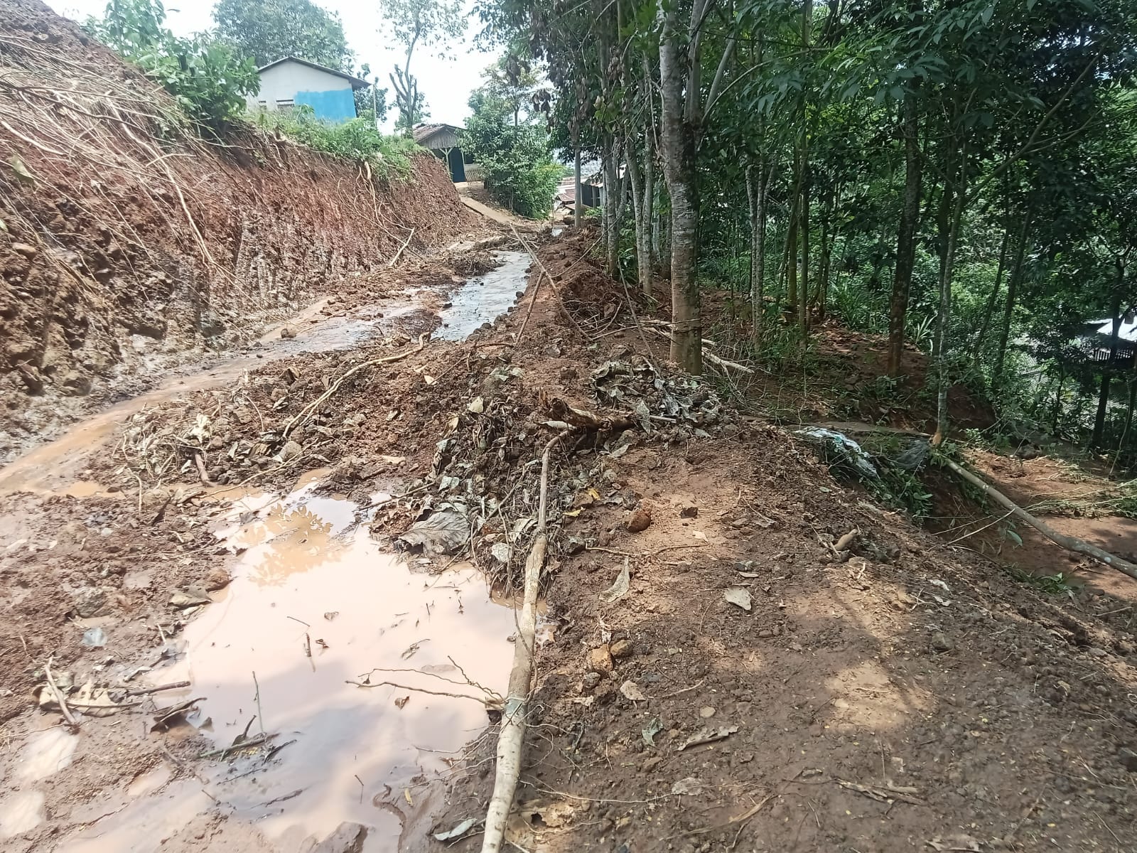 Sepuluh Rumah di Kampung Patok Beusi Longsor Akibat Hujan Deras, Warga Diminta Waspada