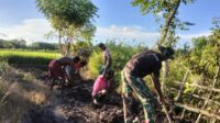 Bersama Warga Satgas TMMD Kodim 1601/Sumba Timur Gotong Royong Penggalian Jalur Pipanisasi
