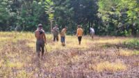 Babinsa Karera Bantu Petani Tanam Jagung Di Desa Kakaha