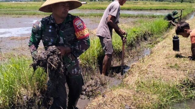 Bantu Petani Optimalkan Sistem Irigasi, Babinsa Lewa Bersama Warga Gotong Royong Perbaiki Saluran Irigasi
