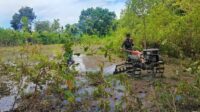 Babinsa Pahunga Lodu Bantu Petani Bajak Sawah untuk Siapkan Lahan Pertanian