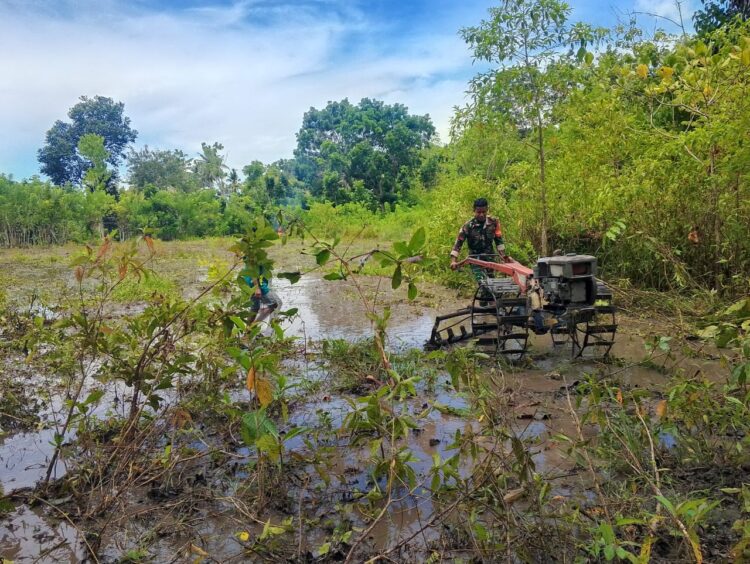 WhatsApp Image 2025-03-15 at 13.44.49 (1) Babinsa Pahunga Lodu Bantu Petani Bajak Sawah untuk Siapkan Lahan Pertanian