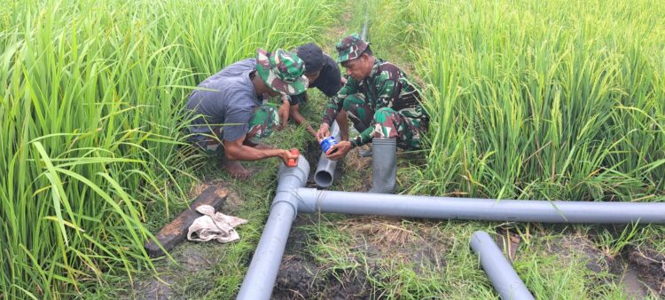 Satgas TMMD Ke-123 Kodim Sumba Timur Kebut Sasaran Pipanisasi Air Untuk Pertanian