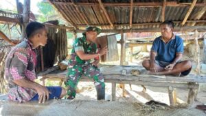 Babinsa Sertu Ediyanto Bantu dan Semangati Petani Tanam Padi di Desa Tawui