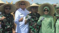 Mayjen TNI Muhammad Zamroni,S.I.P.,M.Si Hadiri Panen Raya Padi Di Kabupaten Sumba Barat