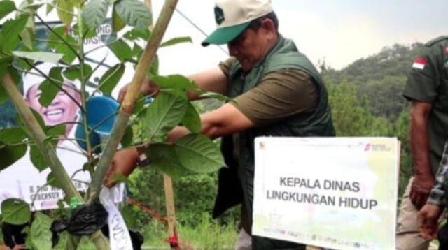 Kabupaten Bandung Tanam 100 Pohon Endemik, Wujudkan Taman Kehati Berkelanjutan