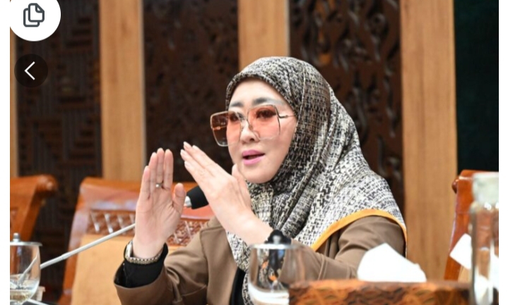 Lisda Hendrajoni Mengecam Keras Tindakan Pencabulan Pelakunya Oknum Dokter