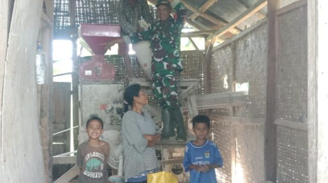 Babinsa Koramil 01/Loli Sambangi Tempat Penggilingan Padi
