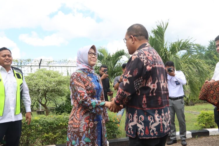 Gubernur NTT Sambut Kedatangan Ketua BPK RI Gubernur NTT Sambut Kedatangan Ketua BPK RI