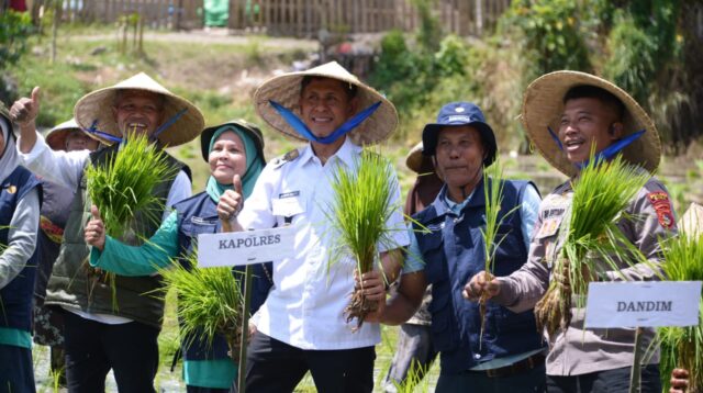 Wabup dr.H. Irfan dan Forkopimda Helat Tanam Padi Serentak Nasional