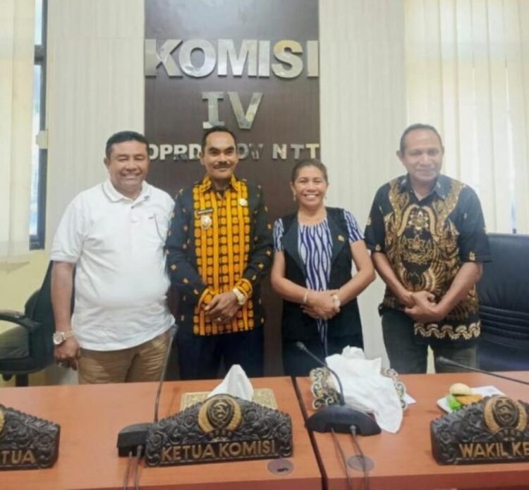 Wabup Nagekeo Lobi Komisi IV DPRD NTT, Targetkan Swasembada Pangan di Awal Kepemimpinan Wabup Nagekeo Lobi Komisi IV DPRD NTT, Targetkan Swasembada Pangan di Awal Kepemimpinan