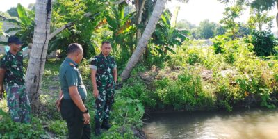 Dandim 1601/Sumba Timur Mengecek Lahan Pertanian Dan Kolam Ikan Di Kelurahan Lambanapu