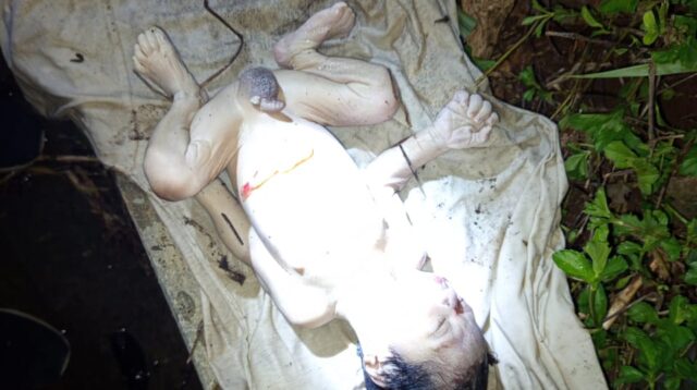 Geger Penemuan Mayat Bayi di Selokan Desa Baumata, Polisi Selidiki Dugaan Pembuangan