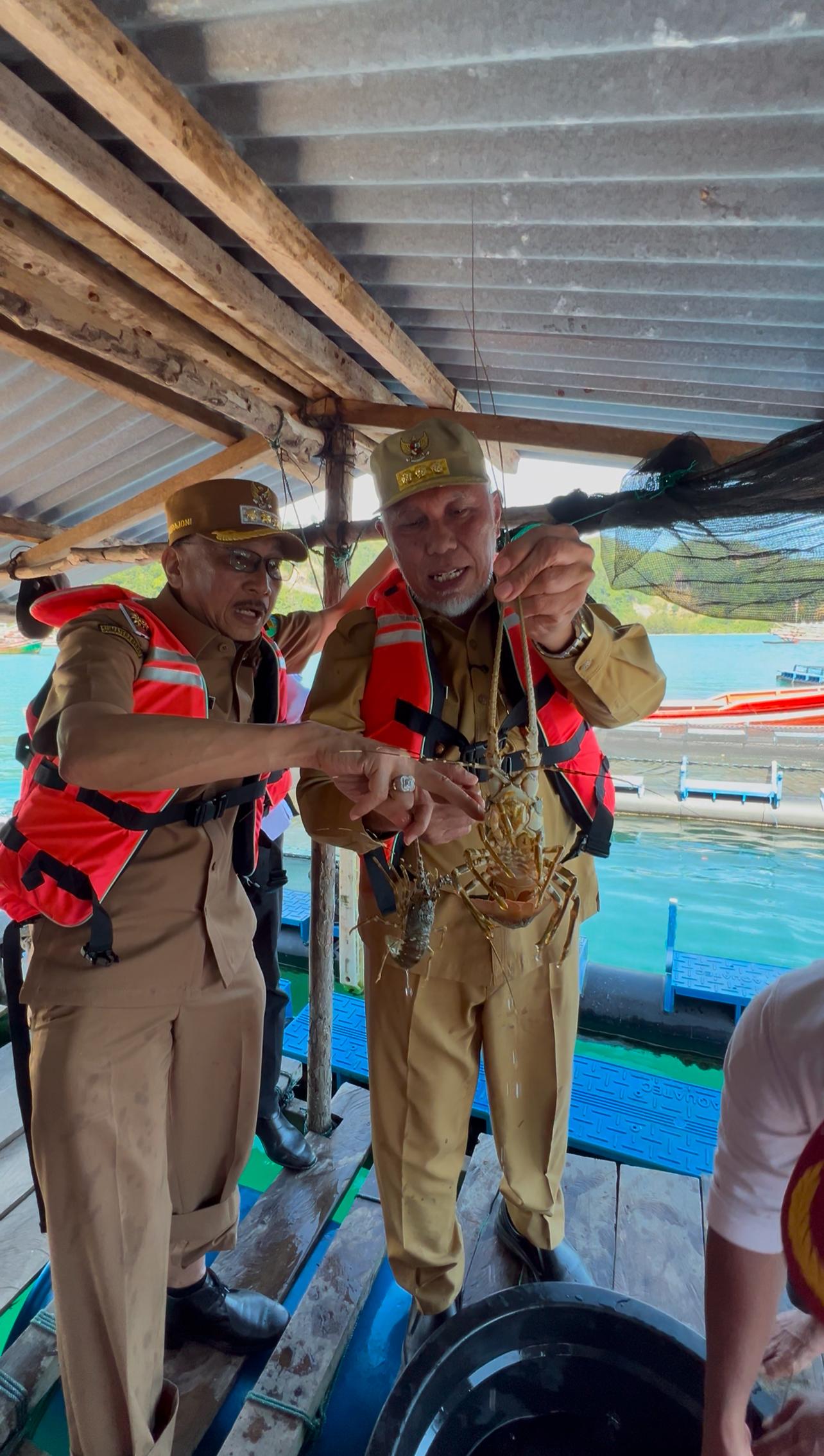 Gubernur Sumbar Mahyeldi Ansharullah Bersama Bupati Pessel Tinjau Budidaya Lobster dan Ikan Kerapu di Pantai Sungin Batang Kapas