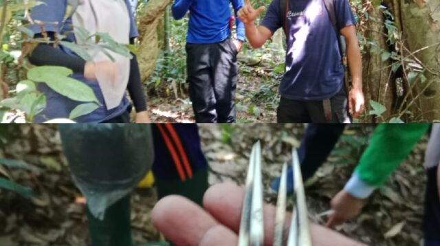 DLH Lahat, Bidang Penataan dan Peningkatan Kapasitas Lingkungan Hidup Tinjau Hutan Larangan Desa Gunung Kembang, Kikim Timur