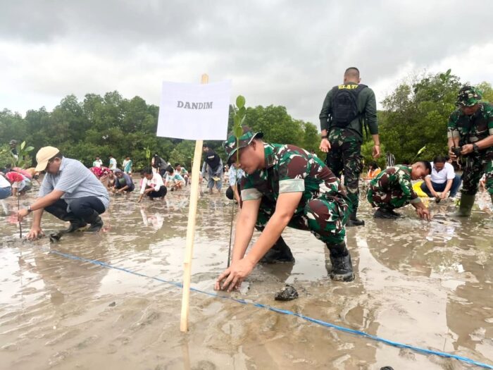 Dandim 1601/Sumba Timur Hadiri Kegiatan Penanaman Mangrove di Kelurahan Watumbaka Dandim 1601/Sumba Timur Hadiri Kegiatan Penanaman Mangrove di Kelurahan Watumbaka