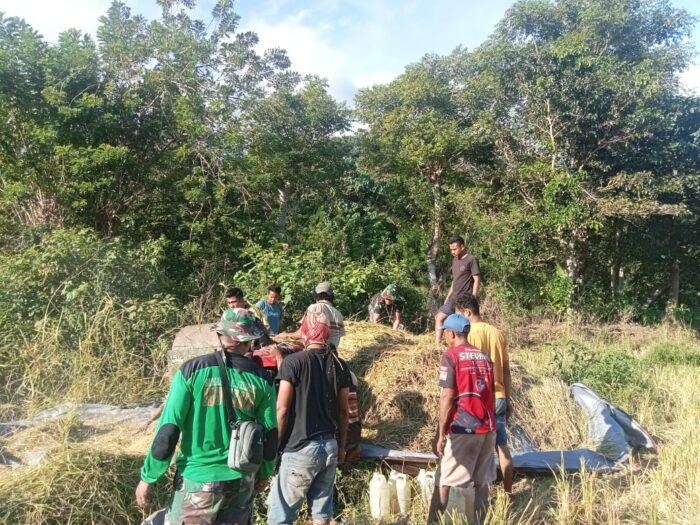 Babinsa Karera Bantu Petani Rontok Padi di Desa Nggongi