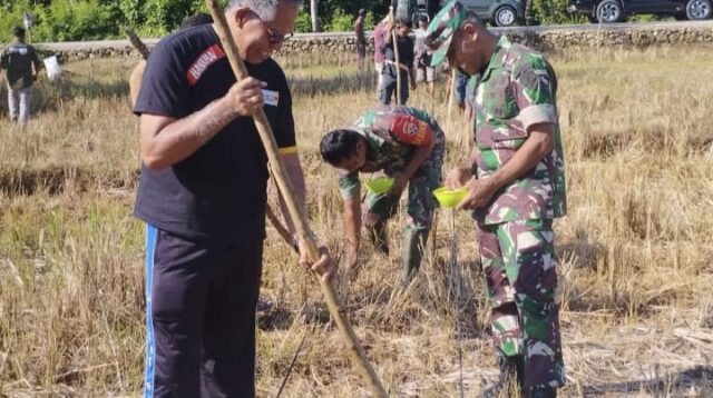 Babinsa Serma Yohanes Hadiri Rapat Penertiban Ternak di Desa Laipandak
