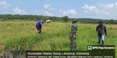 Terinspirasi Suratman, Warga Sidorahayu Optimalkan Pengolahan Lahan Sawah