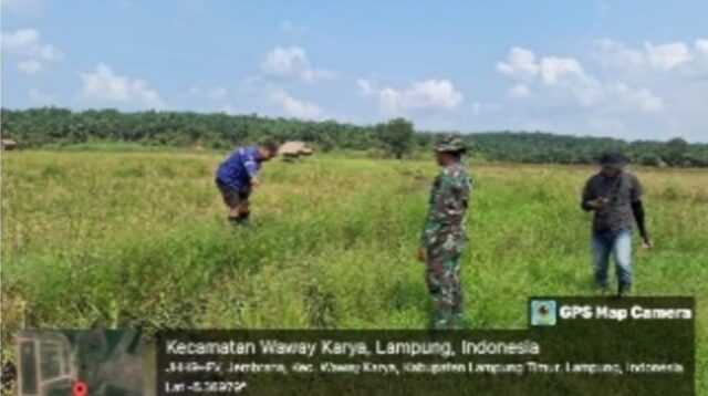 Terinspirasi Suratman, Warga Sidorahayu Optimalkan Pengolahan Lahan Sawah