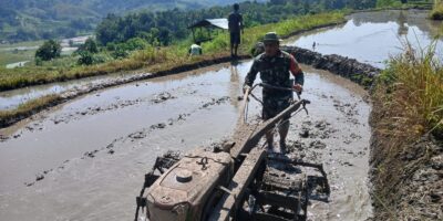 Babinsa Sertu Arifudin Bantu Petani Siapkan Lahan di Desa Harona Kalla untuk Tanam Padi