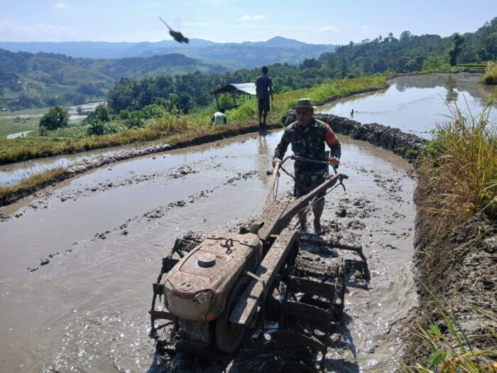 Babinsa Sertu Arifudin Bantu Petani Siapkan Lahan di Desa Harona Kalla untuk Tanam Padi