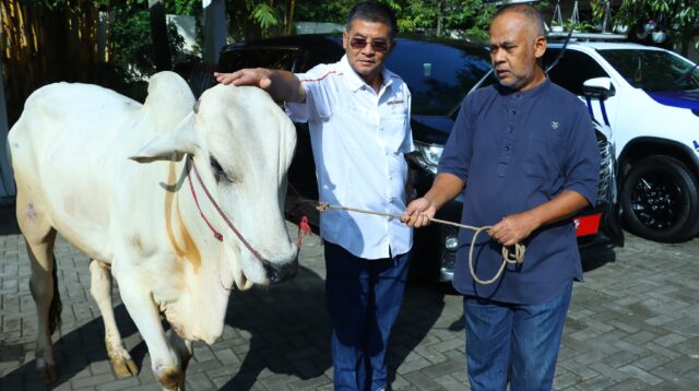 Jelang Iduladha 1446 H, Wagub Jabar Serahkan Sapi Kurban untuk Warga Sekitar Rumah Dinas