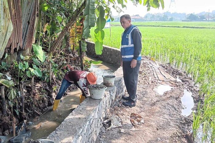 Pemkab Bekasi Genjot Pembangunan Irigasi dan Tanggul untuk Dukung Swasembada Pangan Pemkab Bekasi Genjot Pembangunan Irigasi dan Tanggul untuk Dukung Swasembada Pangan