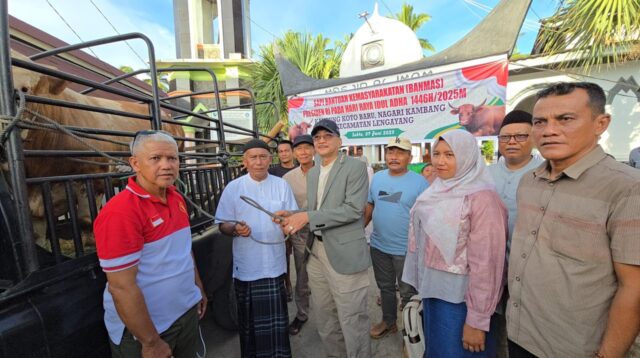 Presiden RI Prabowo Serahkan Bantuan Sapi Kurban ke Pessel. Bupati Hendrajoni Sampaikan Terima Kasih
