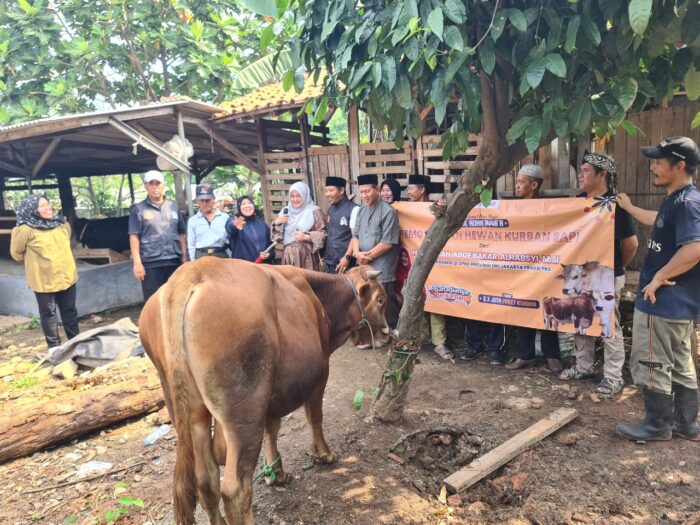 Nabilah Aboebakar Alhabsyi Anggota DPRD Provinsi DKI Jakarta Tebar Qurban se-Jakarta Selatan