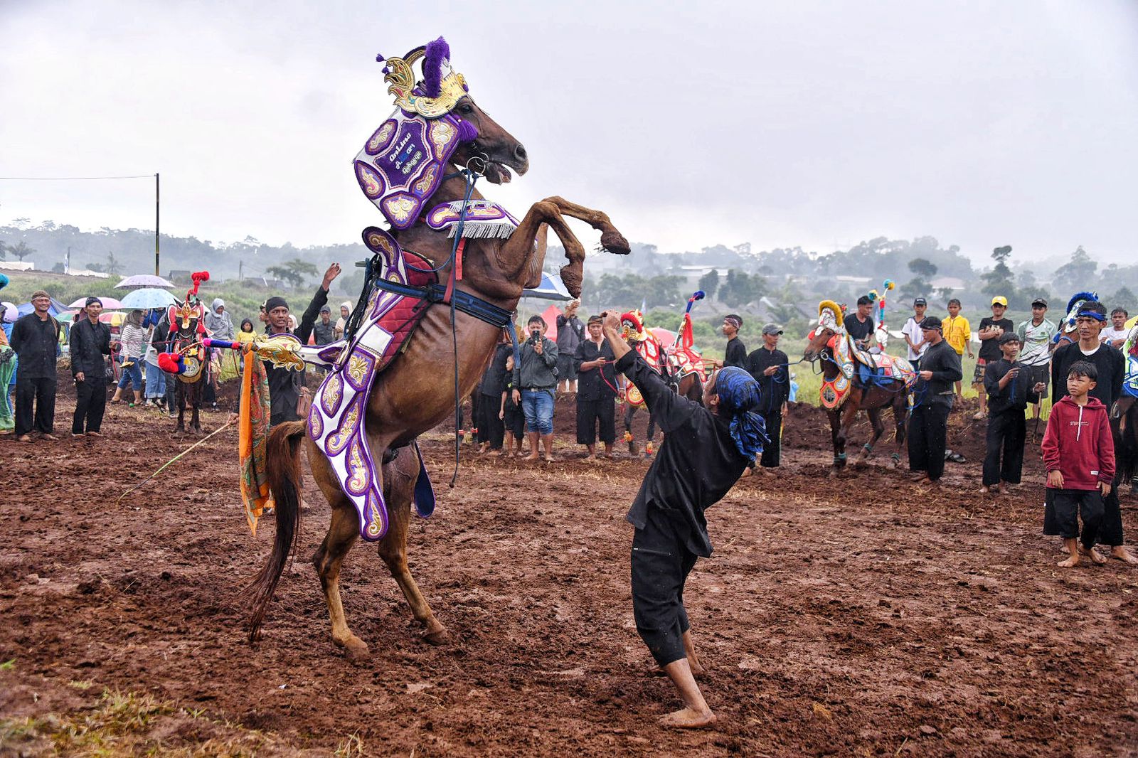 Cibogo Horse Festival 2025 Resmi Dibuka, Sumedang Siap Jadi Pusat Pacuan Kuda Nasional