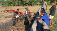 Babinsa Koramil 02/Rindi Umalulu Dampingi Petani Bajak Sawah di Desa Haikatapu