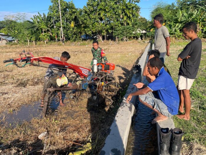 Babinsa Koramil 02/Rindi Umalulu Dampingi Petani Bajak Sawah di Desa Haikatapu