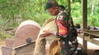 Babinsa Koramil 03/Pahunga Lodu Bantu Warga Binaan Bersihkan Gabah Padi Babinsa Koramil 03/Pahunga Lodu Bantu Warga Binaan Bersihkan Gabah Padi