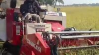 Diduga Dikomersialkan, Combine Harvester Milik Dinas Pertanian Banten Dikuasai Oknum Koperasi