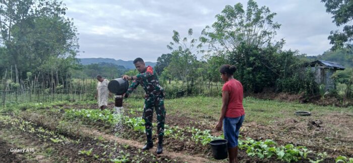 Babinsa Koramil 04/Tabundung Aktif Dampingi Petani Sayur di Desa Billa