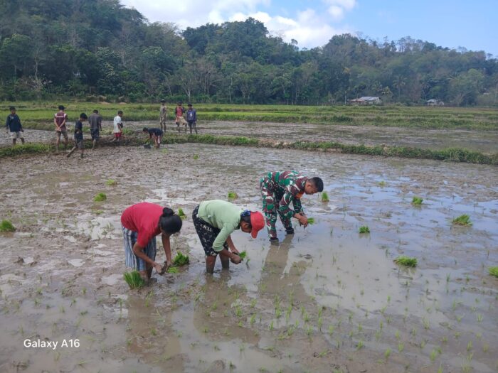 Dukung Ketahanan Pangan, TNI Bantu Petani di Tabundung