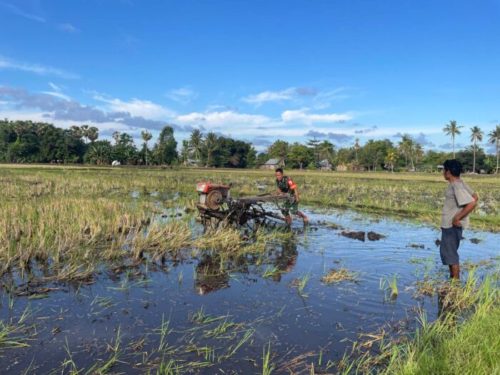Praka Gusnanda Turun ke Sawah Dukung Ketahanan Pangan di Sumba Timur