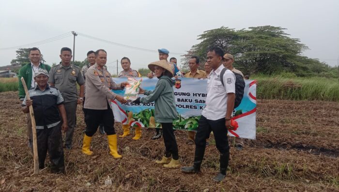 Polsek Kotabaru Tanam Jagung Hibrida di Lahan Pangan Produktif Warga