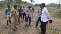 Kapolres Sumba Barat Bersama PJU Tinjau Lahan Penanaman Jagung Dukung Ketahanan Pangan