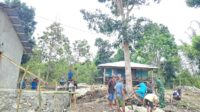 IMG-20250919-WA0047