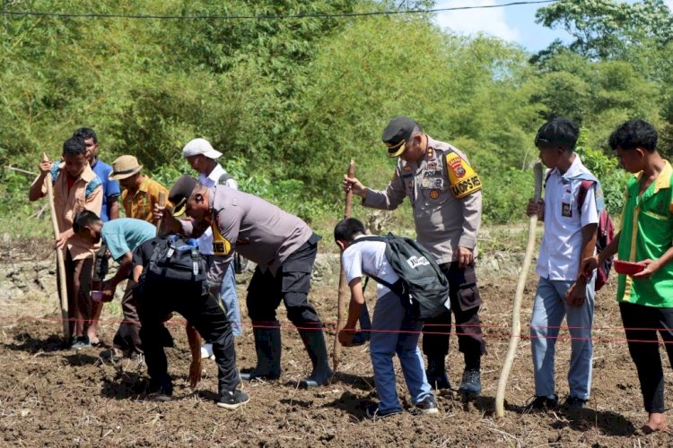 Polres Sumba Barat Tanam Jagung Bersama Warga dan Pelajar Dukung Swasembada Pangan