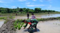 Pratu Denis Deru Peta Dukung Petani Desa Bangga Watu Optimalkan Musim Tanam