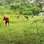 KDKMP Lewa Tidahu Dibersihkan, Warga dan Babinsa Turun Tangan